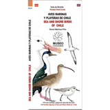 Guía de bolsillo: Aves marinas y playeras de Chile