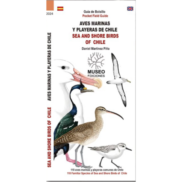 Guía de bolsillo: Aves marinas y playeras de Chile