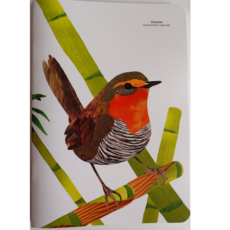 Libreta Chucao