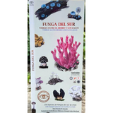 Guía de bolsillo: Funga del sur