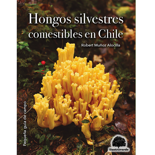 Hongos silvestres comestibles en Chile