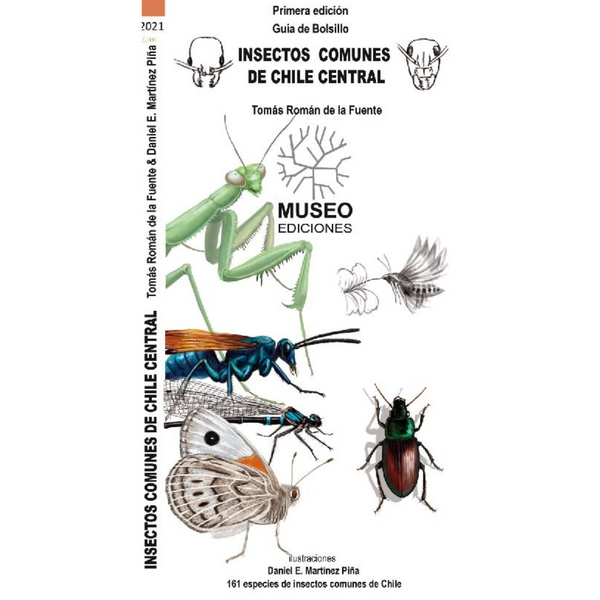 Guía de bolsillo: Insectos comunes de Chile central