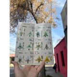 Guía de bolsillo: Orquídeas de Chile