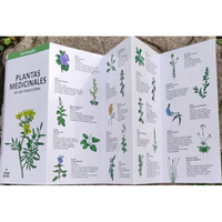 Guía de bolsillo: Plantas medicinales de uso tradicional