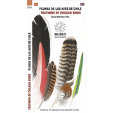 Guía de bolsillo: Plumas de Chile