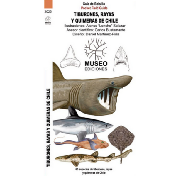 Guía de bolsillo: Tiburones, rayas y quimeras de Chile